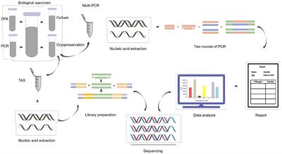 Etiology of Severe Pneumonia in Children in Alveolar Lavage Fluid Using a High-Throughput Gene Targeted Amplicon Sequencing Assay